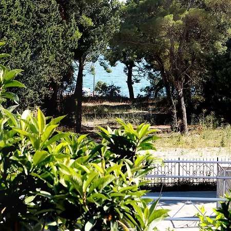 Nespula 3 * Kastela