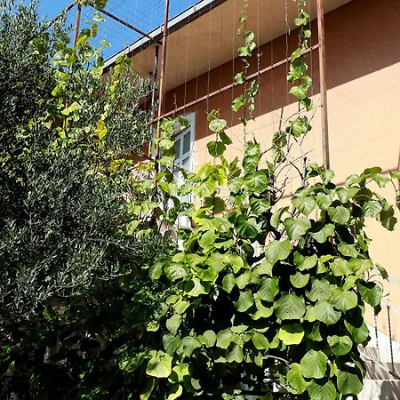 Διαμέρισμα Nespula 3 Kaštela