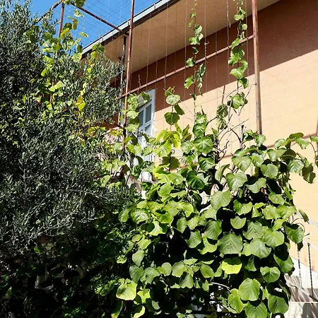 Apartment Nespula 3 Kastela
